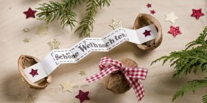 Ideen für Weihnachten und die Weihnachtspost: Von Herzen für dich | EIn in einer Walnuss versteckter Weihnachtsgruß mit glitzernden Sternen in Gold und Rot und einem gestempelten Schriftzug
